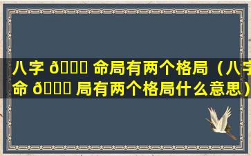 八字 🐈 命局有两个格局（八字命 🐈 局有两个格局什么意思）